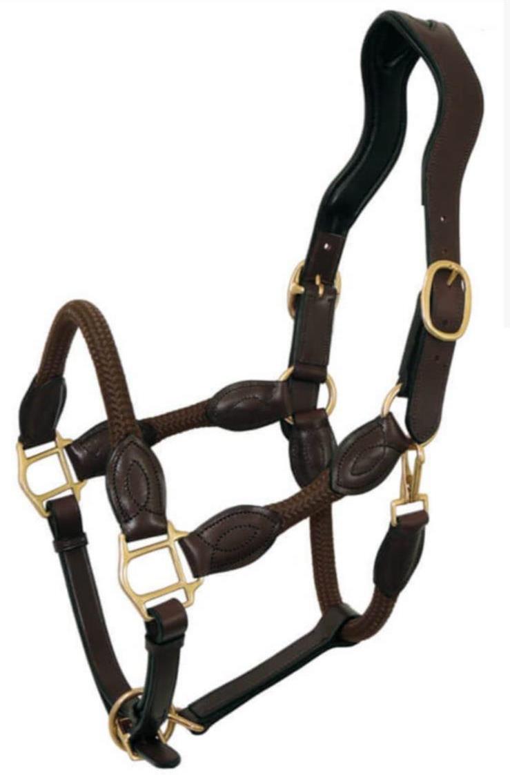 Rope halter 